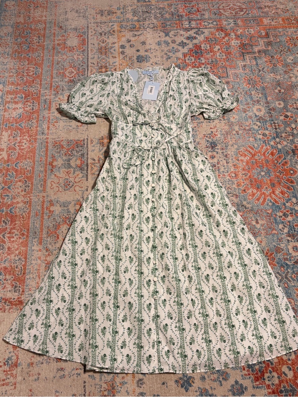 NWT Hill House Sabrina dress in green vine stripe